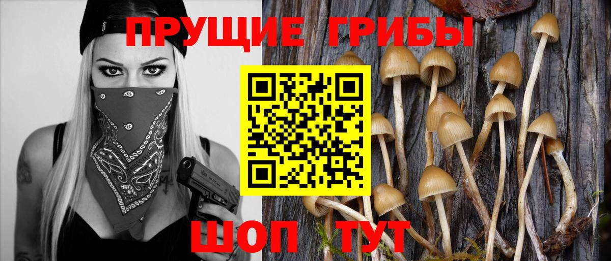 Псилоцибиновые грибы Cubensis Ипатово