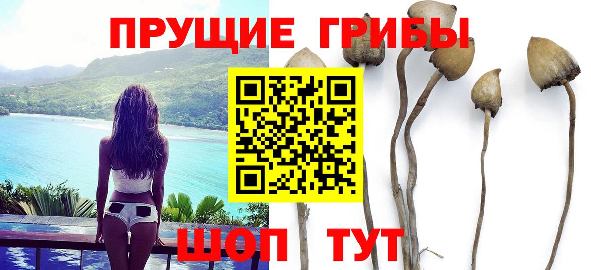 Ипатово  Псилоцибиновые грибы Psilocybe  Вход с VPN  где найти наркотики  Псилоцибиновые грибы Cubensis 