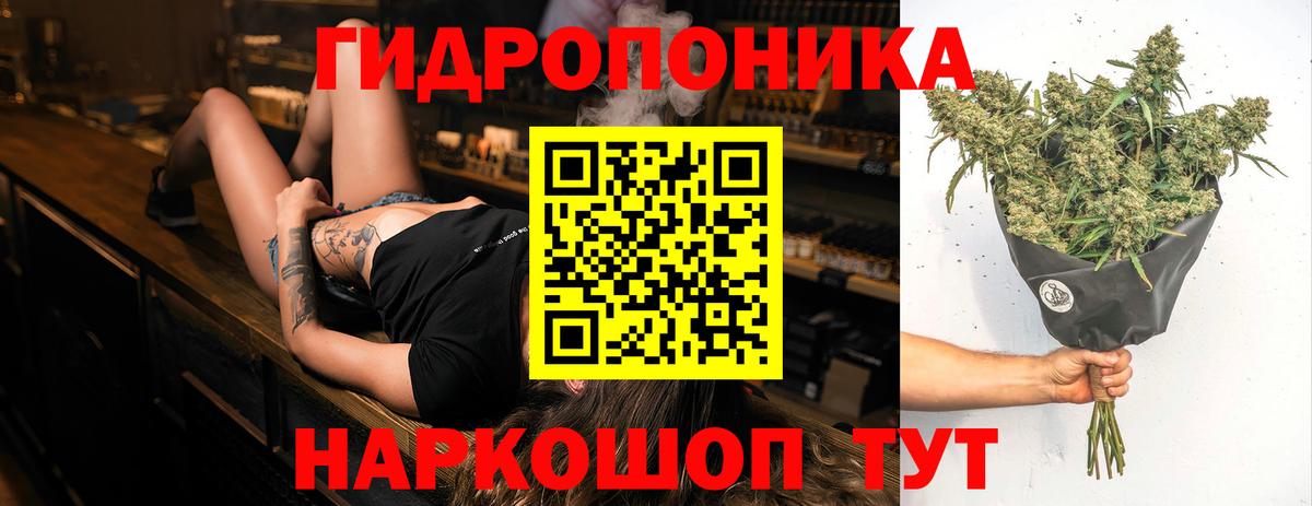 Каннабис сатива  Конопля конопля  Вход с VPN  Конопля индика  Ипатово 